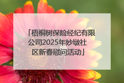 梧桐树保险经纪有限公司2025年妙墩社区新春慰问活动