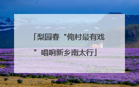 梨园春“俺村最有戏”唱响新乡南太行