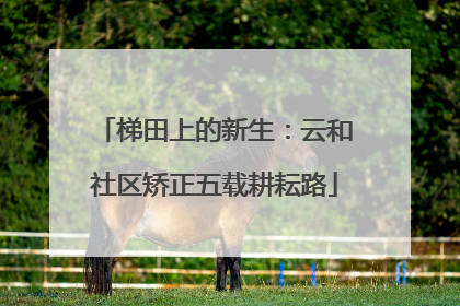 梯田上的新生：云和社区矫正五载耕耘路