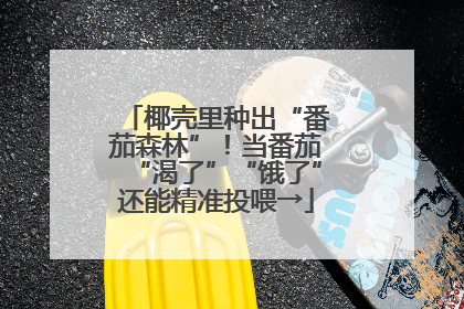 椰壳里种出“番茄森林”！当番茄“渴了”“饿了”还能精准投喂→