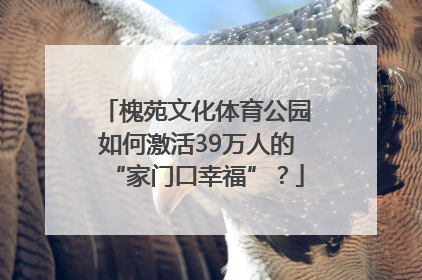 槐苑文化体育公园如何激活39万人的“家门口幸福”？