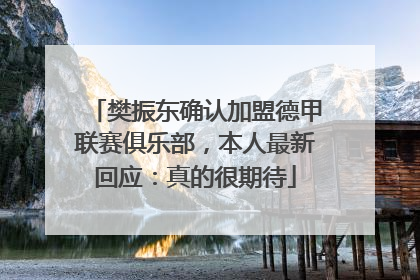 樊振东确认加盟德甲联赛俱乐部，本人最新回应：真的很期待
