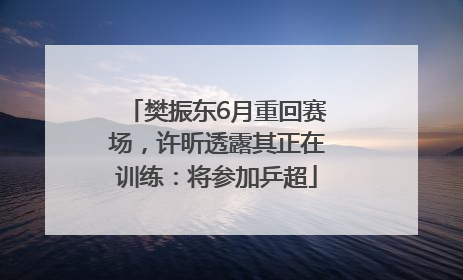 樊振东6月重回赛场，许昕透露其正在训练：将参加乒超