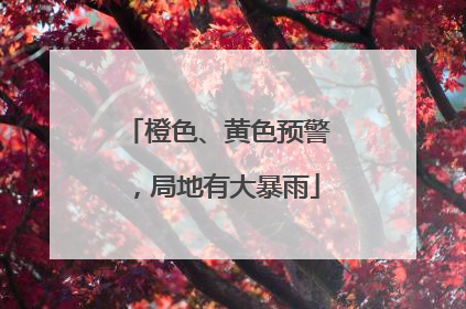 橙色、黄色预警，局地有大暴雨