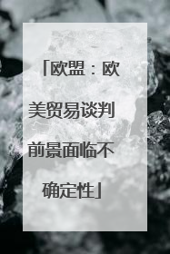 欧盟：欧美贸易谈判前景面临不确定性