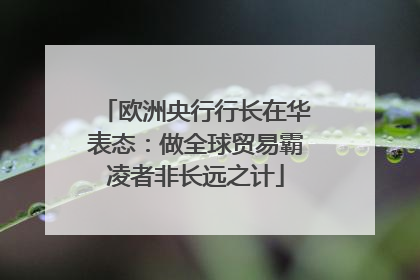 欧洲央行行长在华表态：做全球贸易霸凌者非长远之计