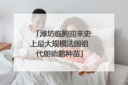 潍坊临朐迎来史上最大规模法国祖代朗德鹅种苗