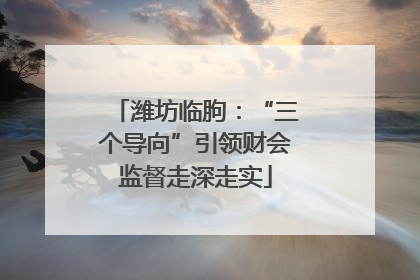 潍坊临朐：“三个导向”引领财会监督走深走实