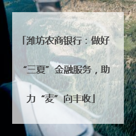 潍坊农商银行：做好“三夏”金融服务，助力“麦”向丰收