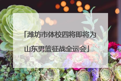 潍坊市体校四将即将为山东男篮征战全运会