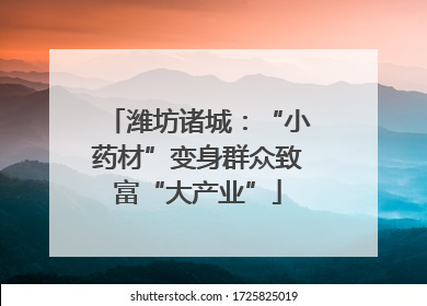 潍坊诸城：“小药材”变身群众致富“大产业”