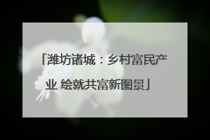 潍坊诸城：乡村富民产业 绘就共富新图景