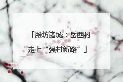 潍坊诸城：岳西村走上“强村新路”