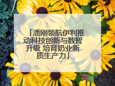潘刚领航伊利推动科技创新与数智升级 培育奶业新质生产力