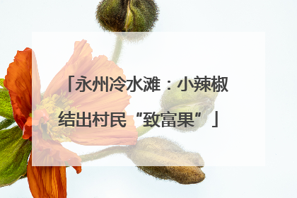 永州冷水滩：小辣椒结出村民“致富果”