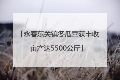 永春东关镇冬瓜喜获丰收 亩产达5500公斤