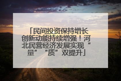 民间投资保持增长 创新动能持续增强！河北民营经济发展实现“量”“质”双提升