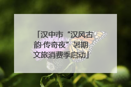 汉中市“汉风古韵·传奇夜”暑期文旅消费季启动