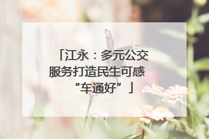 江永：多元公交服务打造民生可感“车通好”