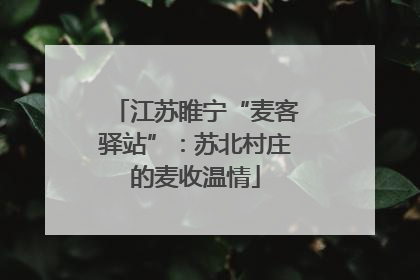 江苏睢宁“麦客驿站”：苏北村庄的麦收温情