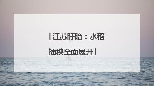 江苏盱眙：水稻插秧全面展开