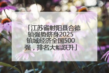 江苏省射阳县合德镇强势跻身2025镇域经济全国500强，排名大幅跃升