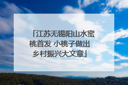 江苏无锡阳山水蜜桃首发 小桃子做出乡村振兴大文章