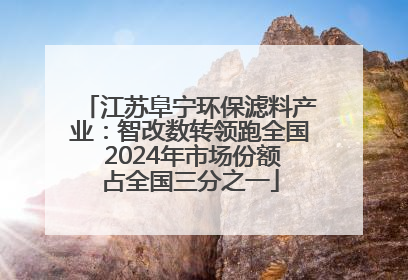 江苏阜宁环保滤料产业：智改数转领跑全国 2024年市场份额占全国三分之一