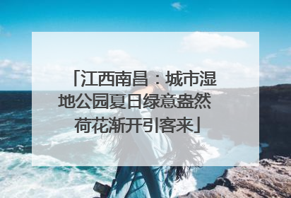 江西南昌：城市湿地公园夏日绿意盎然 荷花渐开引客来