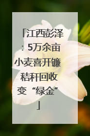 江西彭泽：5万余亩小麦喜开镰 秸秆回收变“绿金”
