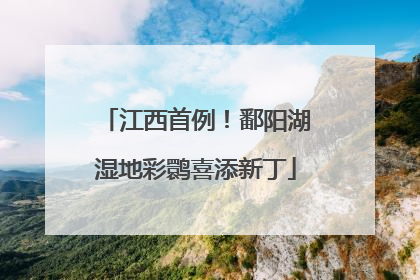 江西首例！鄱阳湖湿地彩鹮喜添新丁