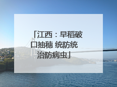 江西：早稻破口抽穗 统防统治防病虫