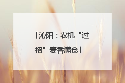沁阳：农机“过招”麦香满仓