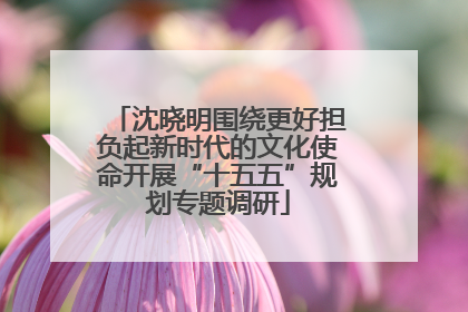 沈晓明围绕更好担负起新时代的文化使命开展“十五五”规划专题调研