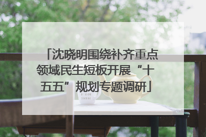 沈晓明围绕补齐重点领域民生短板开展“十五五”规划专题调研