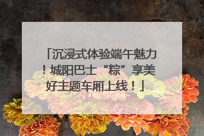 沉浸式体验端午魅力！城阳巴士“粽”享美好主题车厢上线！