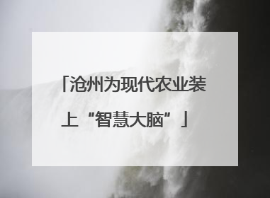 沧州为现代农业装上“智慧大脑”