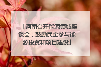 河南召开能源领域座谈会,鼓励民企参与能源投资和项目建设
