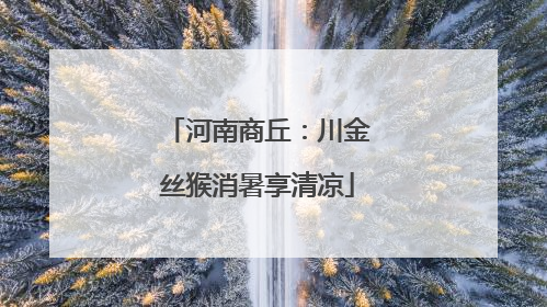 河南商丘：川金丝猴消暑享清凉