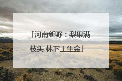 河南新野：梨果满枝头 林下土生金