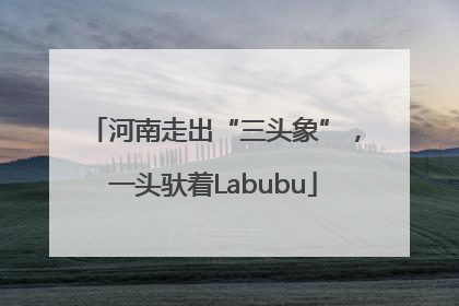 河南走出“三头象”，一头驮着Labubu