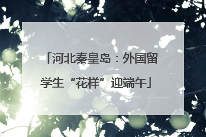 河北秦皇岛：外国留学生“花样”迎端午