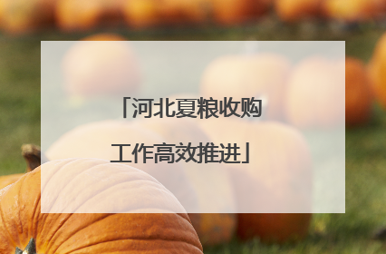 河北夏粮收购工作高效推进