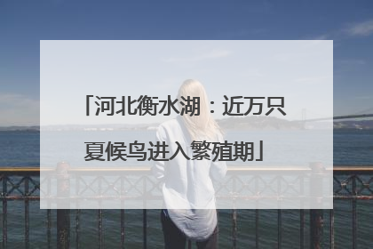 河北衡水湖：近万只夏候鸟进入繁殖期