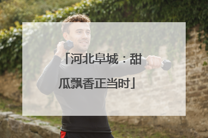河北阜城：甜瓜飘香正当时