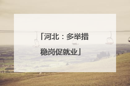 河北：多举措稳岗促就业