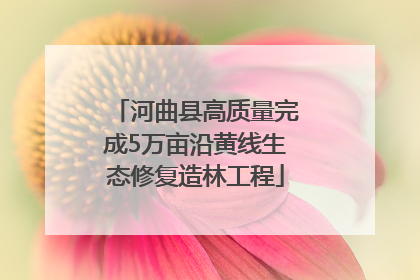河曲县高质量完成5万亩沿黄线生态修复造林工程