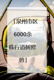 泉州市区6000余株行道树修剪