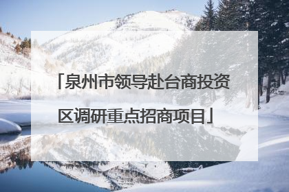 泉州市领导赴台商投资区调研重点招商项目