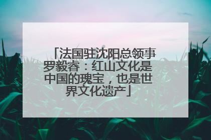 法国驻沈阳总领事罗毅睿：红山文化是中国的瑰宝，也是世界文化遗产